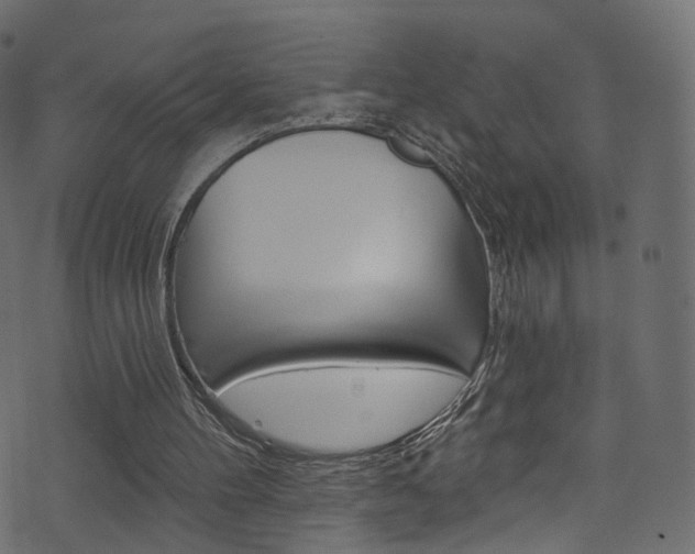 X0000074340100200608251055