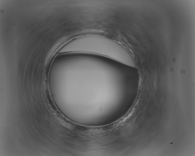 X0000074340101200608251055