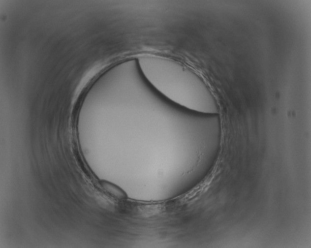 X0000074340102200608251055