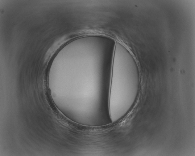 X0000074340103200608251055