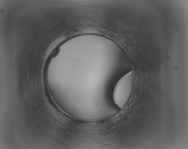 X0000074340104200608251055