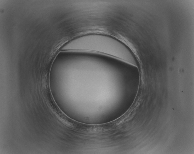 X0000074340105200608251055