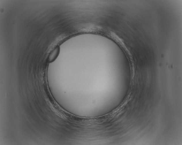 X0000074340106200608251055