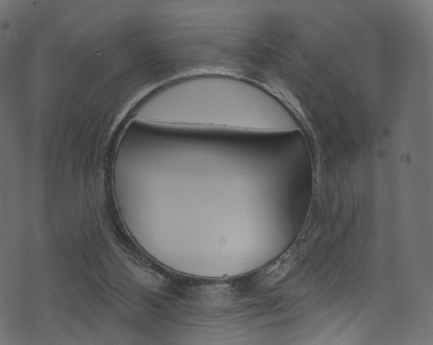 X0000074340108200608251055