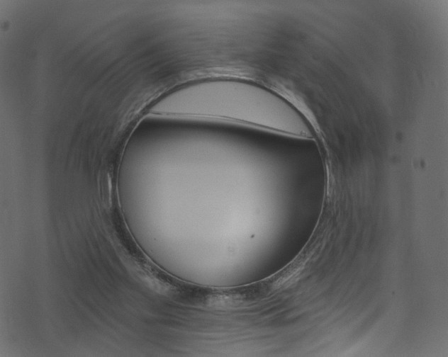 X0000074340109200608251055