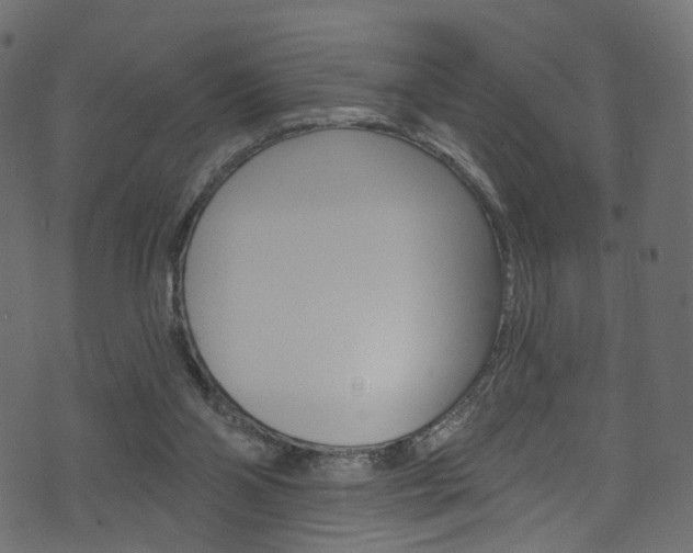 X0000074340110200608251055