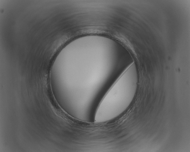 X0000074340111200608251055