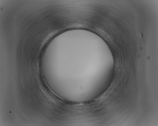 X0000074340112200608251055