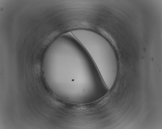 X0000074340113200608251055