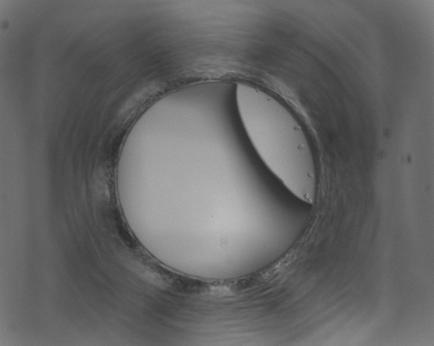 X0000074340114200608251055