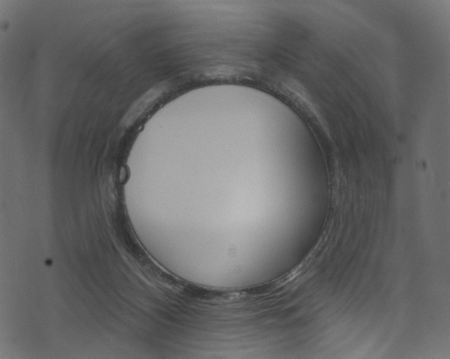 X0000074340116200608251055