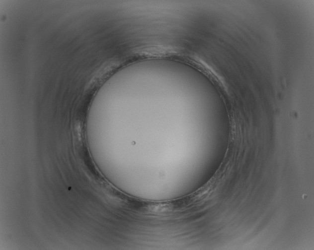 X0000074340117200608251055