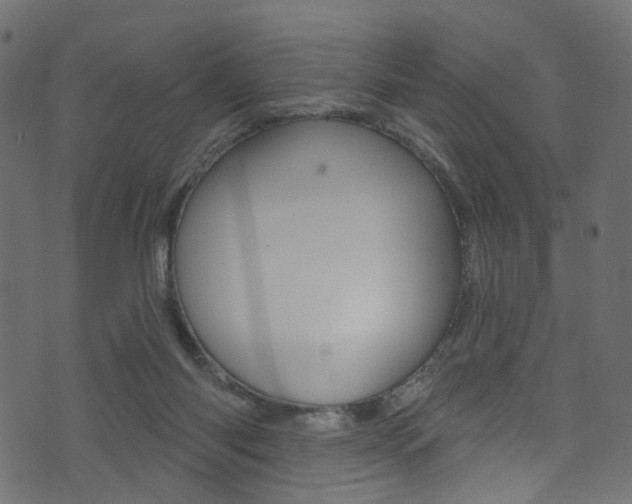 X0000074340118200608251055