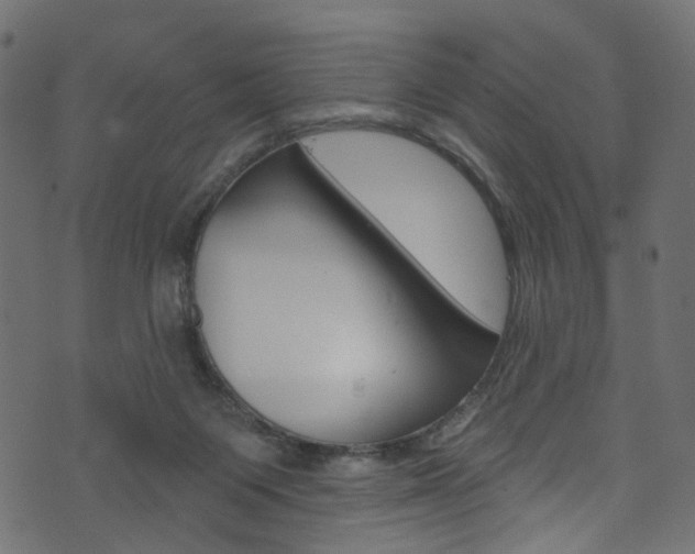 X0000074340119200608251055