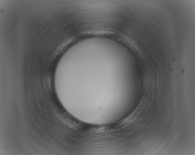 X0000074340120200608251055