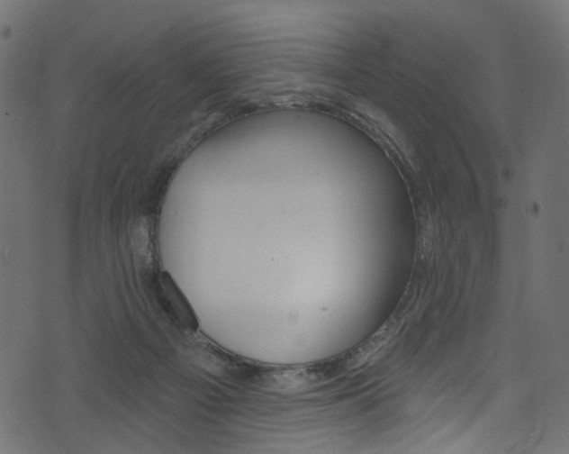 X0000074340121200608251055