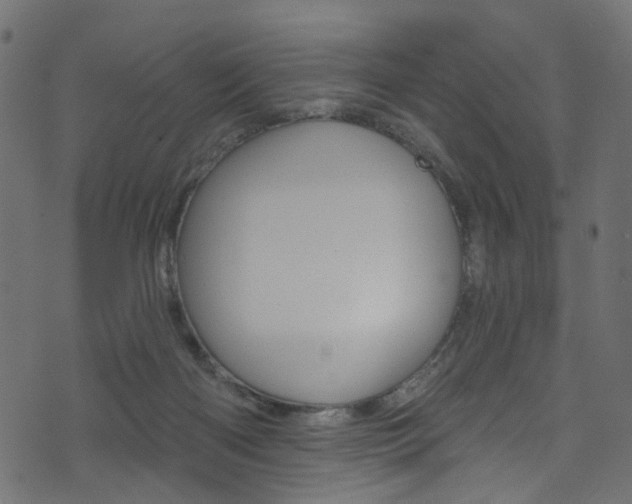 X0000074340122200608251055