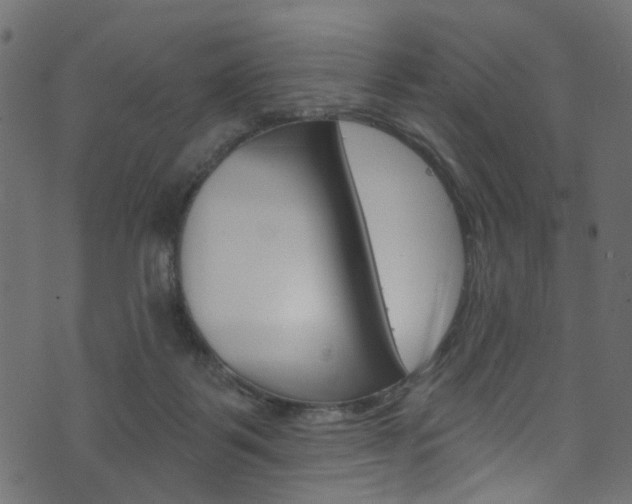 X0000074340123200608251055