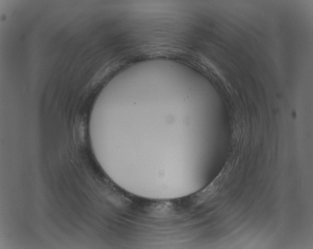 X0000074340124200608251055