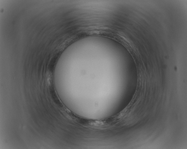 X0000074340125200608251055