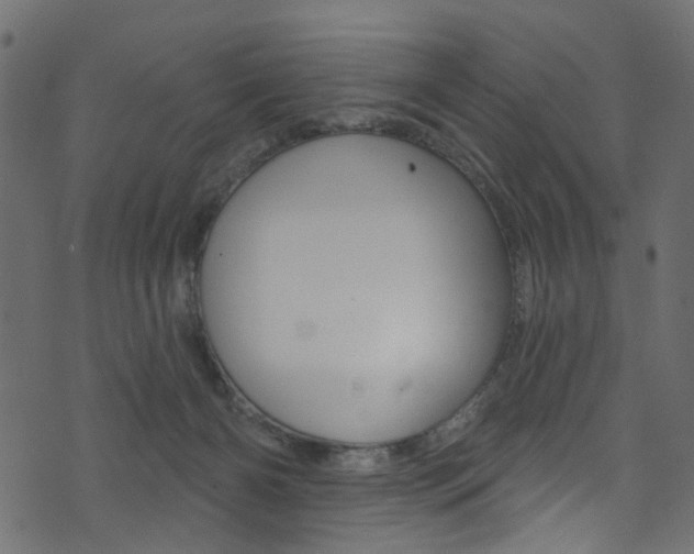 X0000074340126200608251055