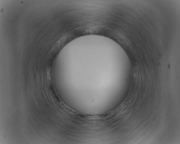 X0000074340127200608251055