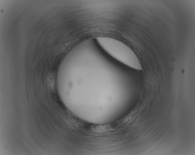 X0000074340129200608251055