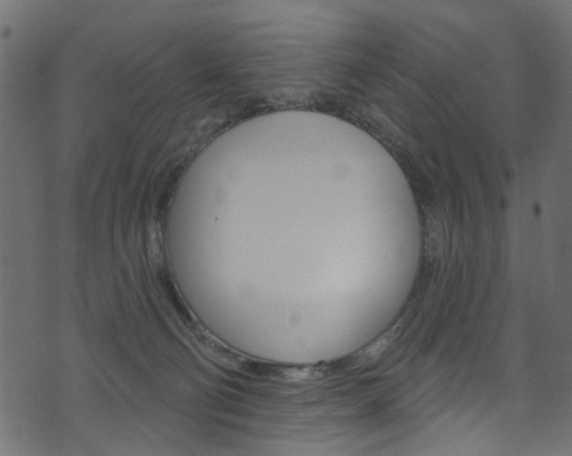 X0000074340130200608251055