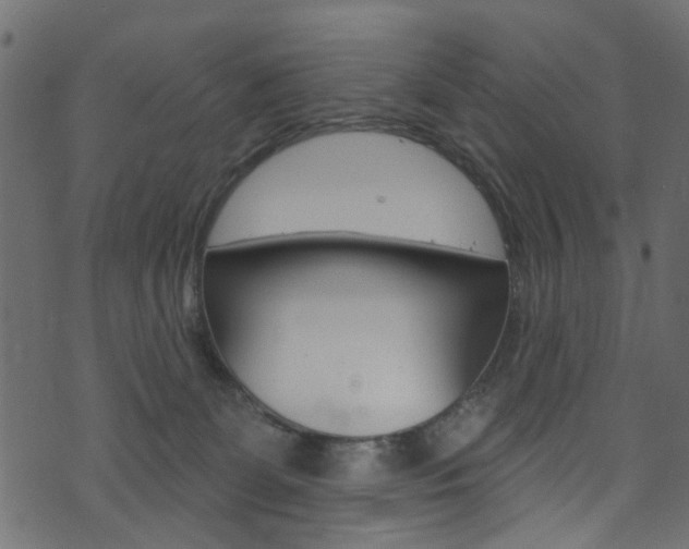 X0000074340131200608251055