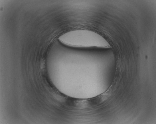 X0000074340132200608251055