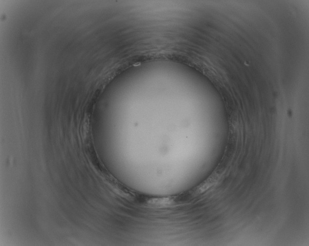 X0000074340133200608251055