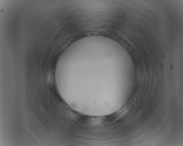 X0000074340134200608251055