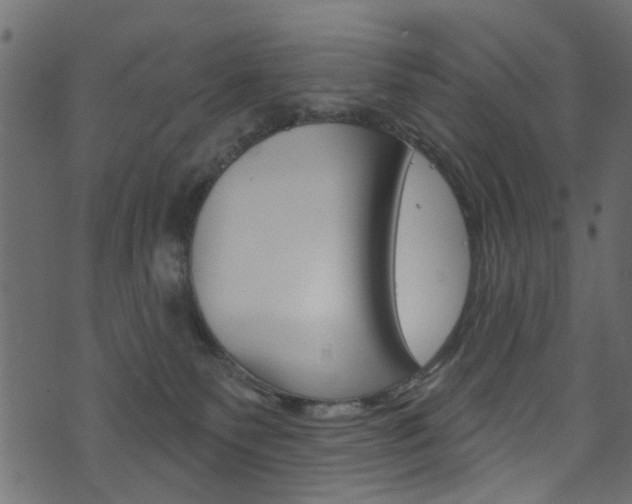 X0000074340135200608251055