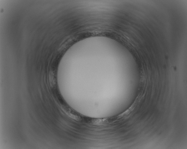 X0000074340136200608251055