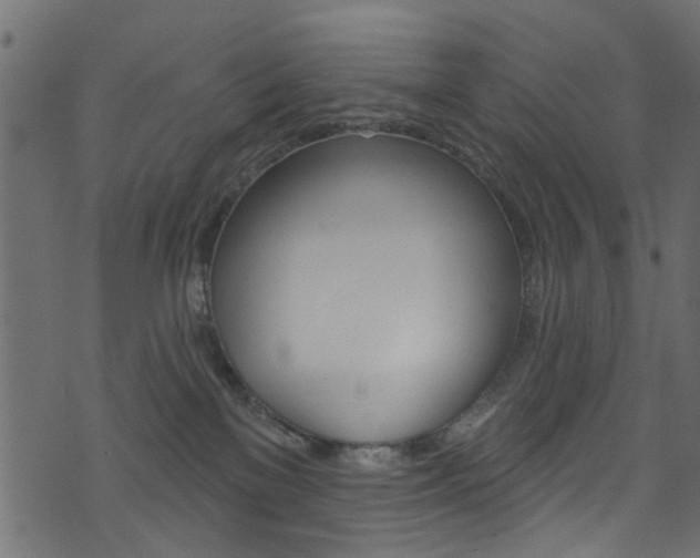 X0000074340137200608251055