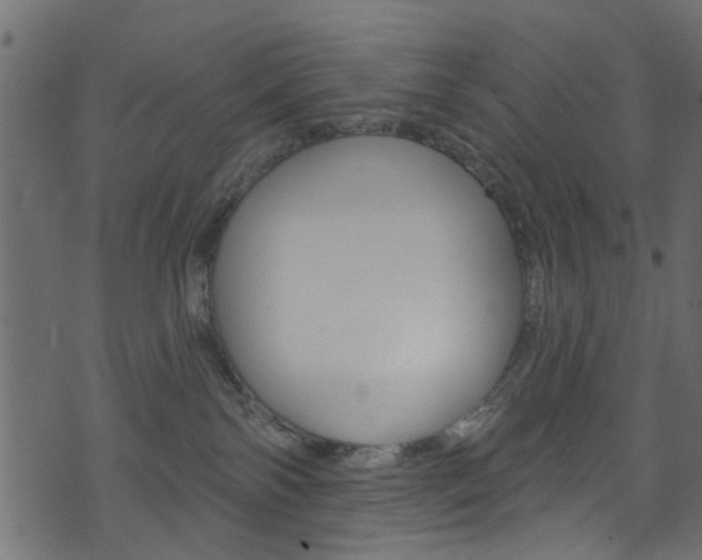 X0000074340138200608251055