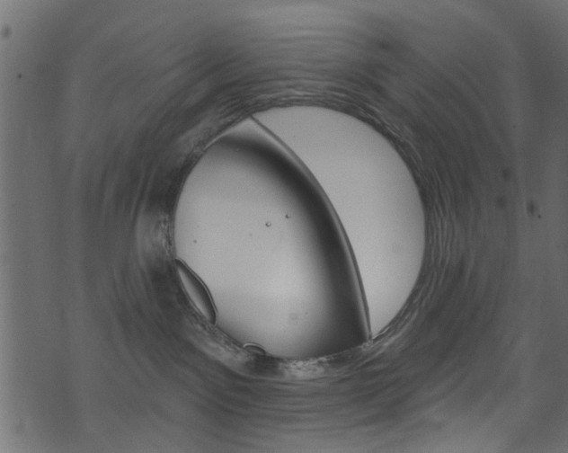 X0000074340141200608251055