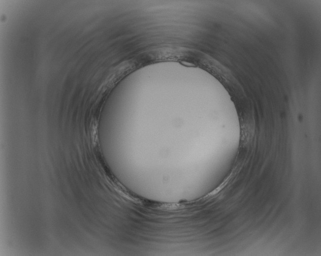 X0000074340142200608251055