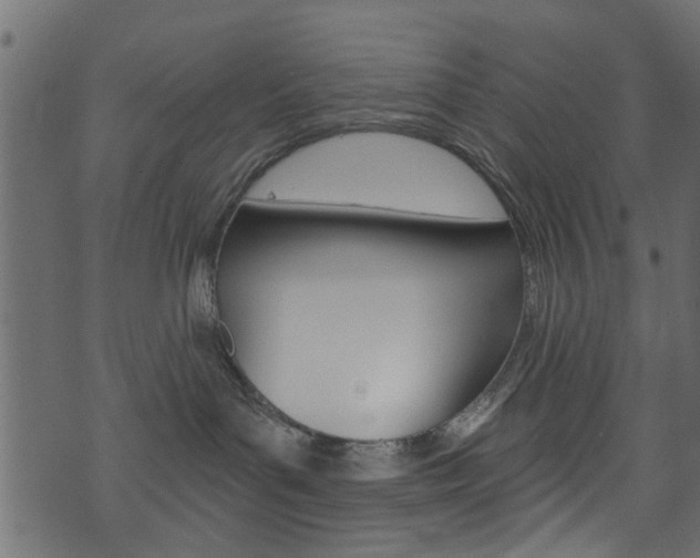 X0000074340143200608251055