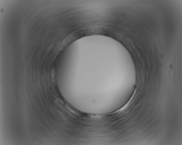 X0000074340144200608251055