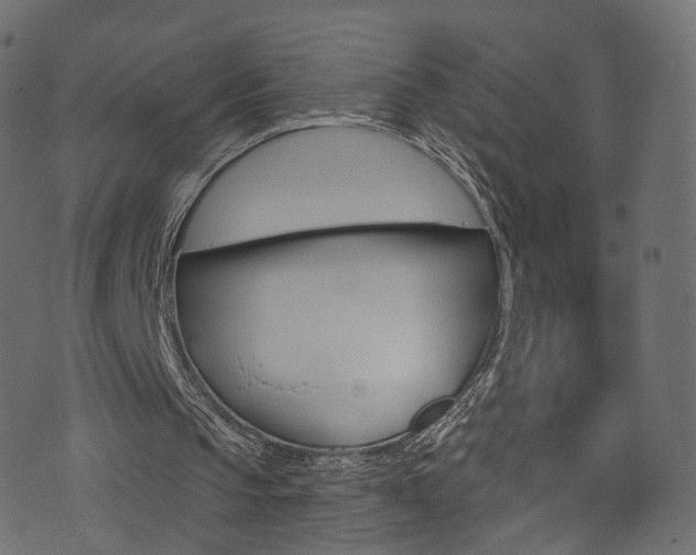 X0000074340145200608251054