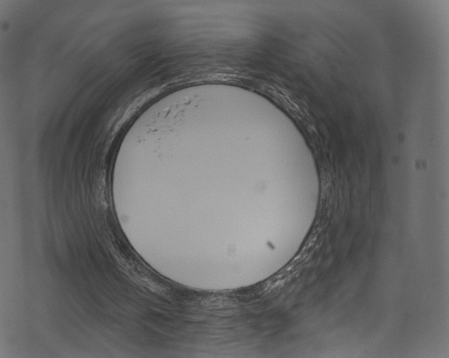 X0000074340146200608251054