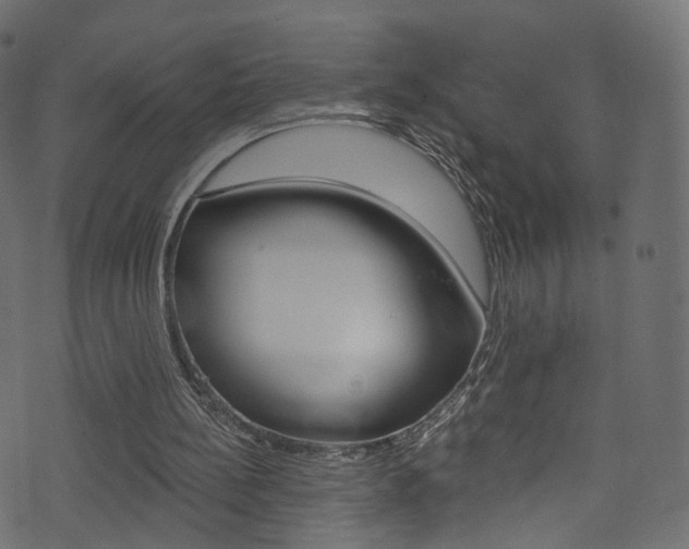 X0000074340148200608251054