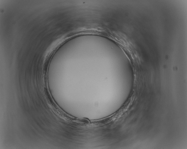 X0000074340149200608251054