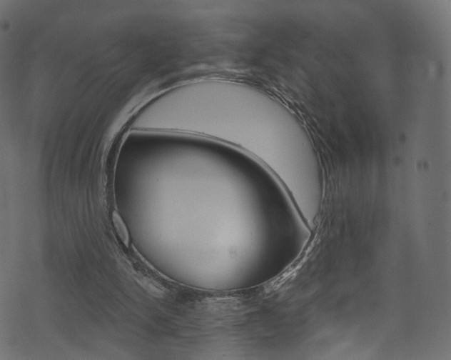 X0000074340150200608251054