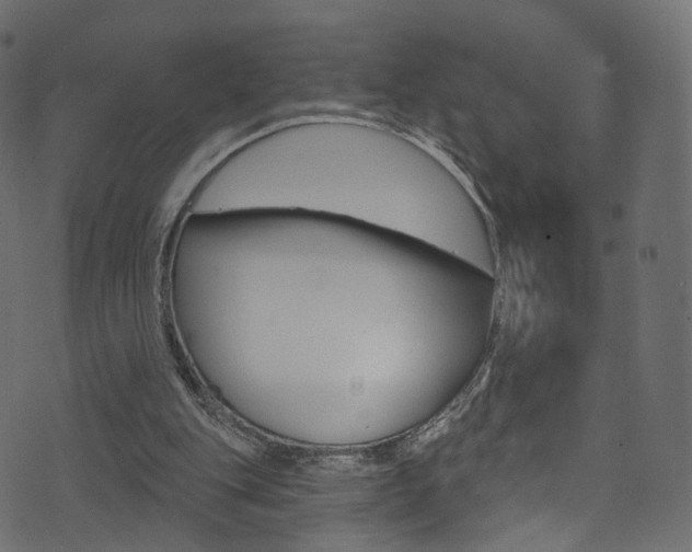 X0000074340151200608251054