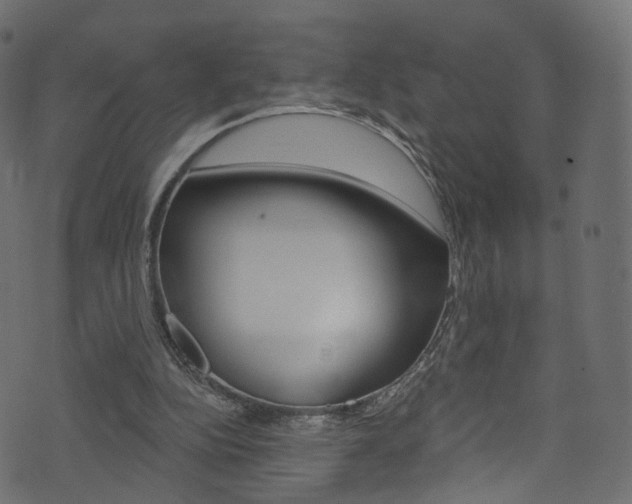 X0000074340152200608251054