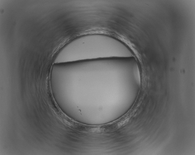 X0000074340153200608251054