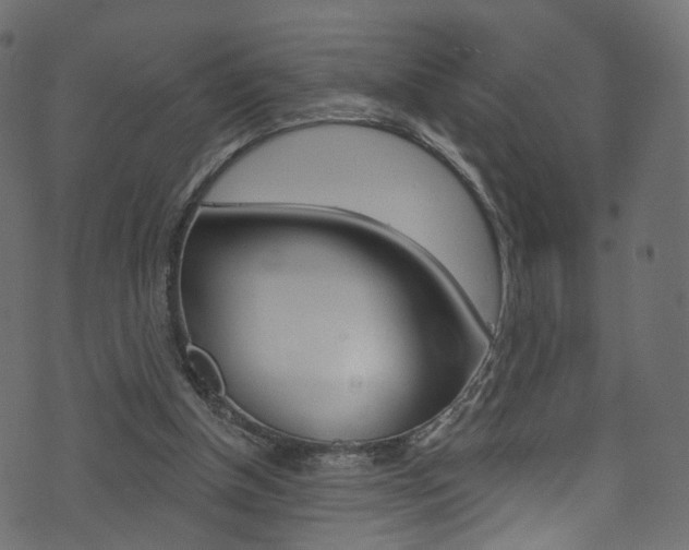 X0000074340154200608251054