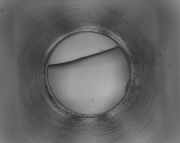 X0000074340155200608251054